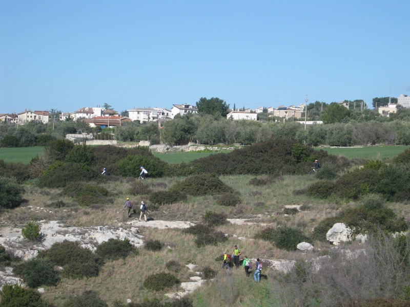 ciclo trek pipistrelli